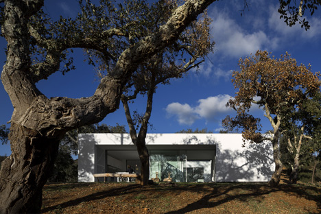 House in Quinta do Carvalheiro by GSMM