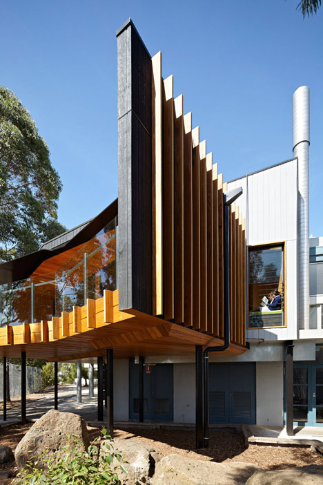 Timber-clad school library extended into the tree tops by Branch Studio Architects