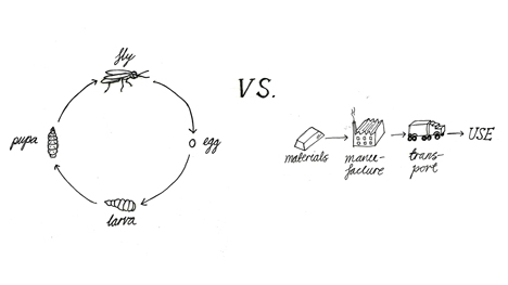 Fly Factory by Bui Bjarmar Athalsteinsson diagram