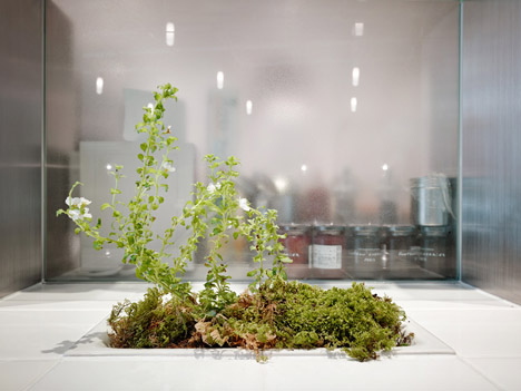 Coutume-cafe-Aoyama-in-Tokyo-Japan-by-CUT-Architectures