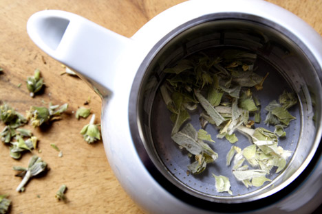 Sowden Softbrew Teapots by George Sowden