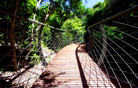The Boomslang canopy walkway by Mark Thomas and Henry Fagan