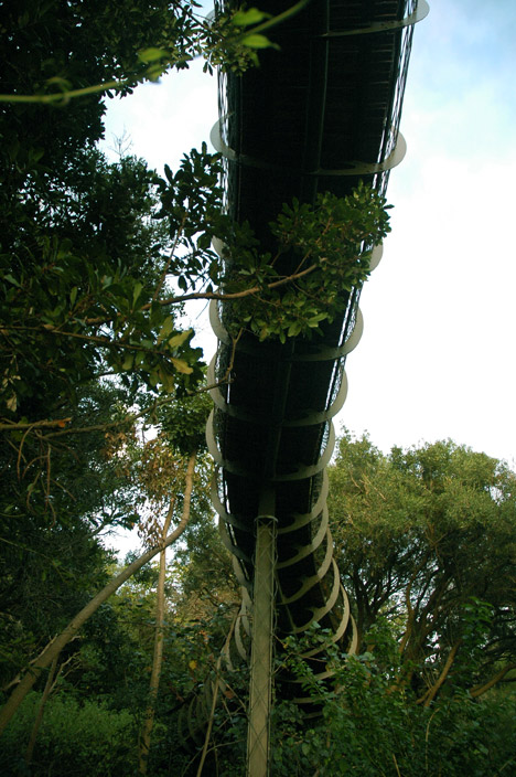 The Boomslang canopy walkway by Mark Thomas and Henry Fagan