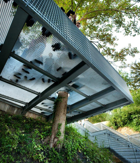 Bradfield College Greek Theatre by Studio Octopi