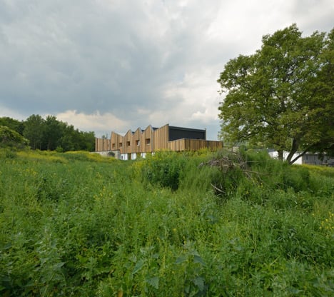 3+1 Architekti converts a stone barn into a woodwork facility with a serrated timber extension