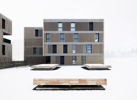 Striped Living by group8asia