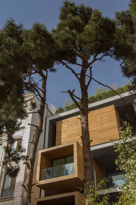 Sharif-ha House by Nextoffice