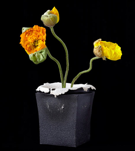 Booming Vases by Analogia Project and Alessio Sarri