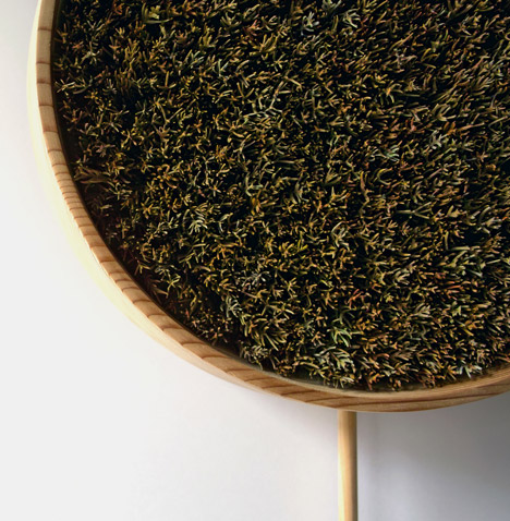 Coniferous Clock by Bril