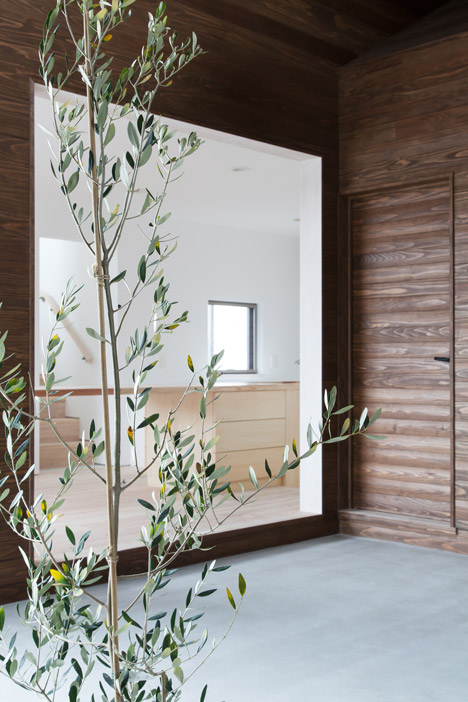 Rain Shelter House by Y+M Design