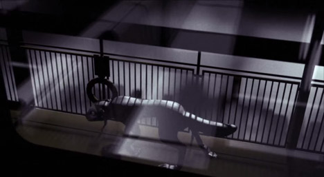 Fons Schiedon's music video for SBTRKT's track New Dorp. New York