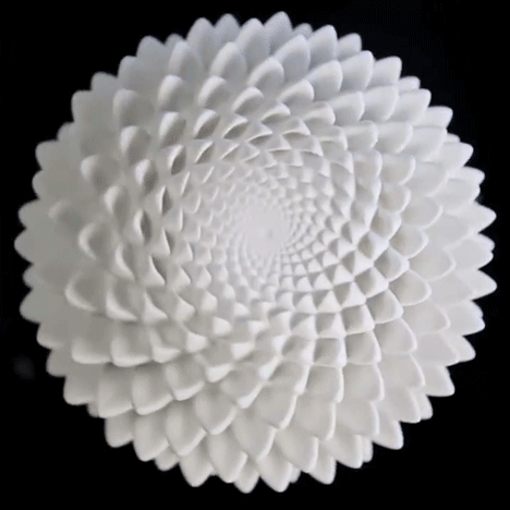 Animorph 3D-printed illusions by John Edmark