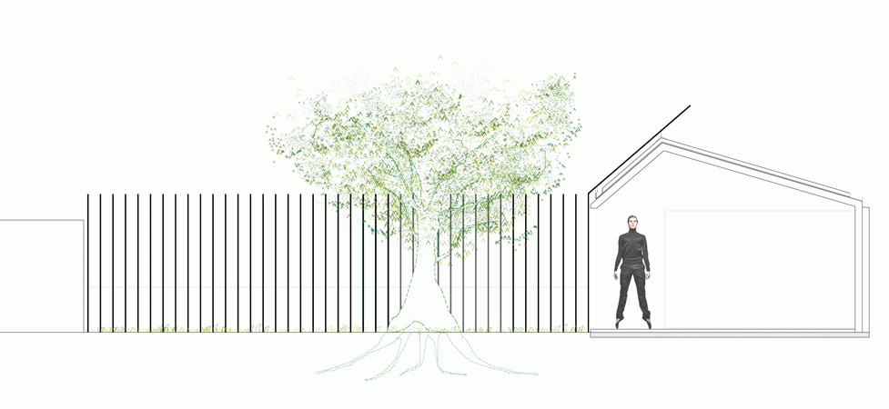 House for a man and a tree by Taller Basico