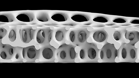 New Balance partners with Nervous System to 3D-print personalised soles