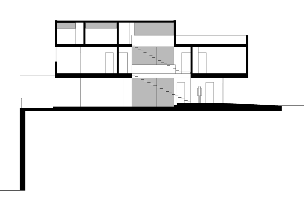 V House by Abraham Cota Paredes