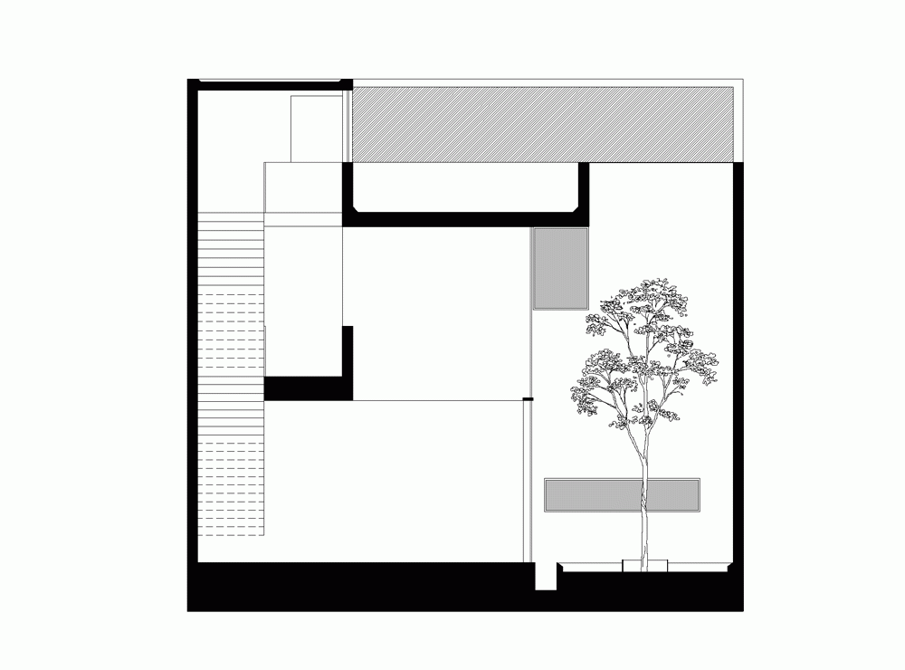 V House by Abraham Cota Paredes