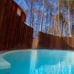 Klein Dytham complete Moku Moku Yu baths