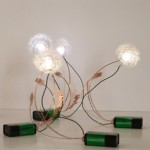 Dandelight by Drift