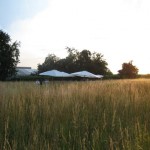 Vitra Campus party