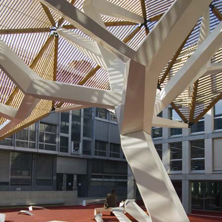 L’arbre de Flonville by Oloom & Samuel Wilkinson