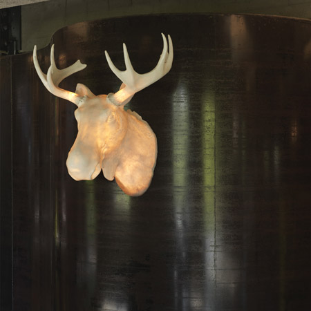 Moo by Northern Lighting