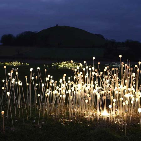 Field of Light by Bruce Munro