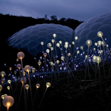 Field of Light by Bruce Munro 2