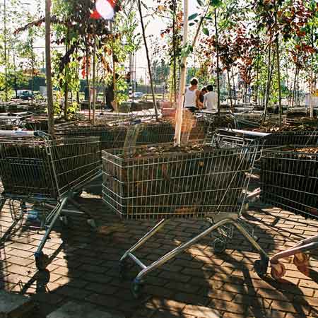 Moving Forest by NL Architects