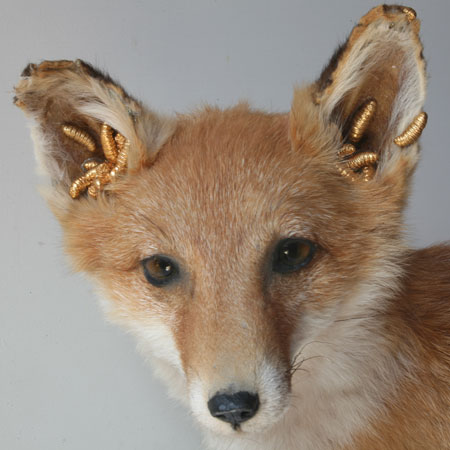 Dezeen’s top ten: animals