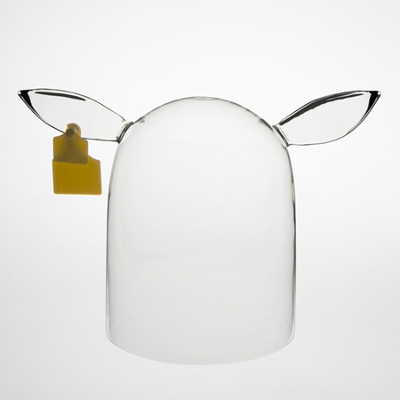 This&That by Fabrica