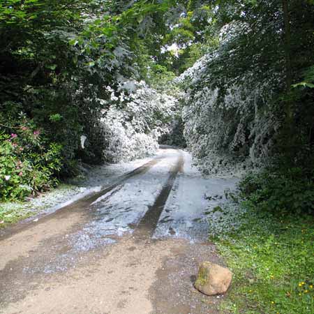 Midsummer Snow Storm by Peter Liversidge