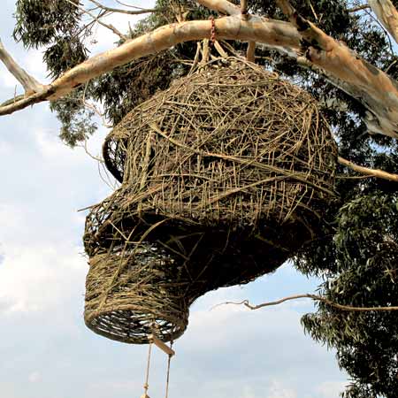 Weaver’s Nest by Animal Farm