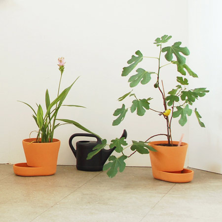 Plant pot by Uli Budde
