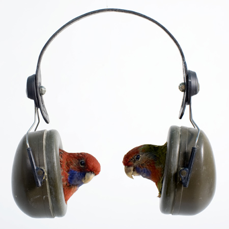 Taxidermy artwork by Idiots