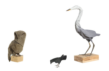 dznavifauna4504