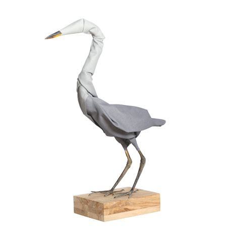 dznavifauna450sq1