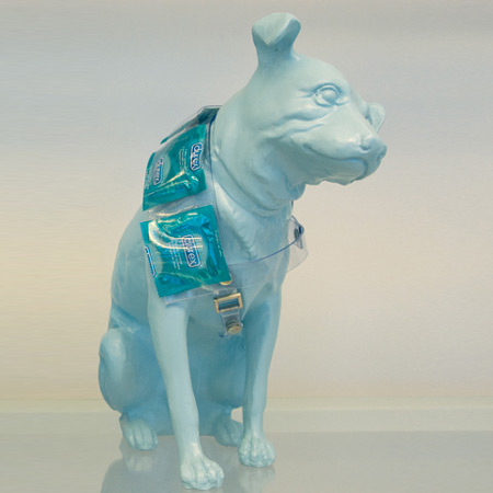 Dog or Bitch at Konarska-Konarski