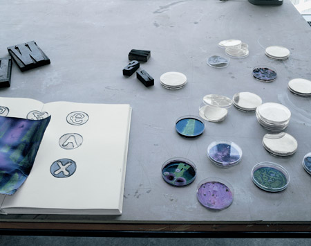 dzn_SYMBIOSIS_book-+-research dzn_SYMBIOSIS_book-+-research