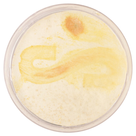 dzn_SYMBIOSIS_research_03 dzn_SYMBIOSIS_research_03
