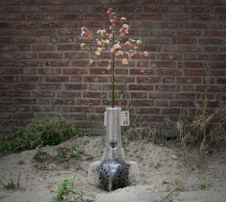 dzn_bas_van_der_veer_8_3 dzn_bas_van_der_veer_8_3