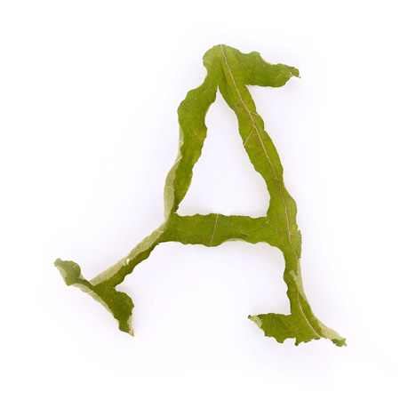 dzn_jelte_van_abbema_leaf_3 dzn_jelte_van_abbema_leaf_3