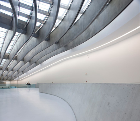 dzn_MAXXI-8