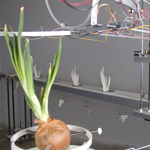 Growth Modeling Device by David Bowen