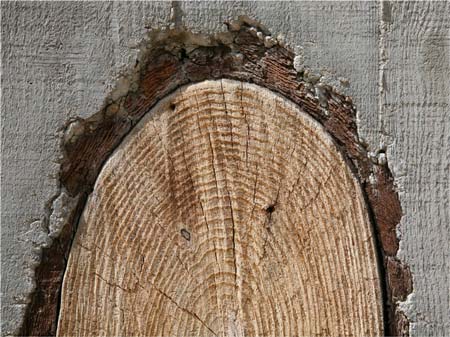 Earth House by BCHO Architects Earth House by BCHO Architects