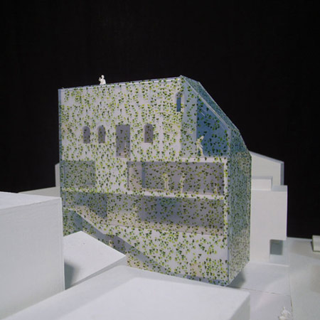 Ivy by Geneto Ivy by Geneto