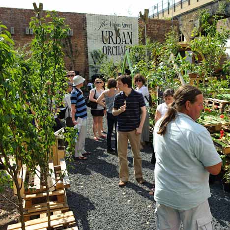 Urban Orchard by Heather Ring Urban Orchard by Heather Ring