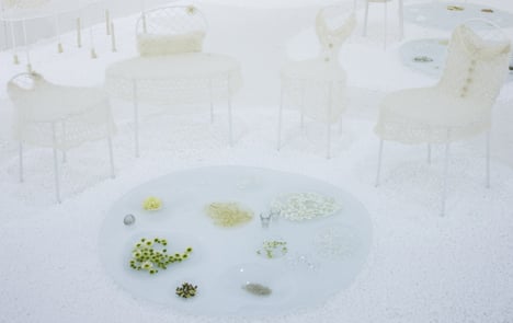 Picnic by Junya Ishigami Picnic by Junya Ishigami