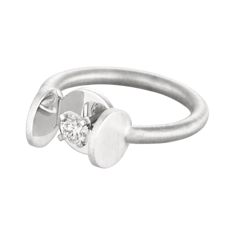 Rings by Nicolas Le Moigne and A E Kochert