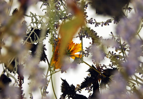 The Fragility of Time by Ignacio Canales Aracil The Fragility of Time by Ignacio Canales Aracil