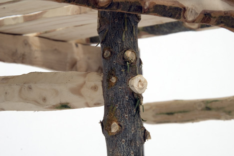 Christmas Tree Sledge by Tom Hatfield